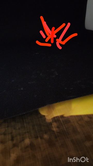 скибиди лазер 74 (часть 1) смотреть онлайн