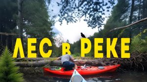 Сплав по реке Пополта. Река оказалась непроходимой.