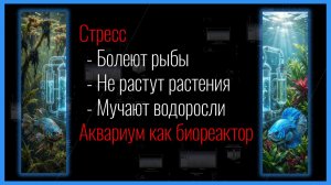 Сложно о простом: почему УМИРАЮТ рыбы, ГНИЮТ растения и мучают ВОДОРОСЛИ?