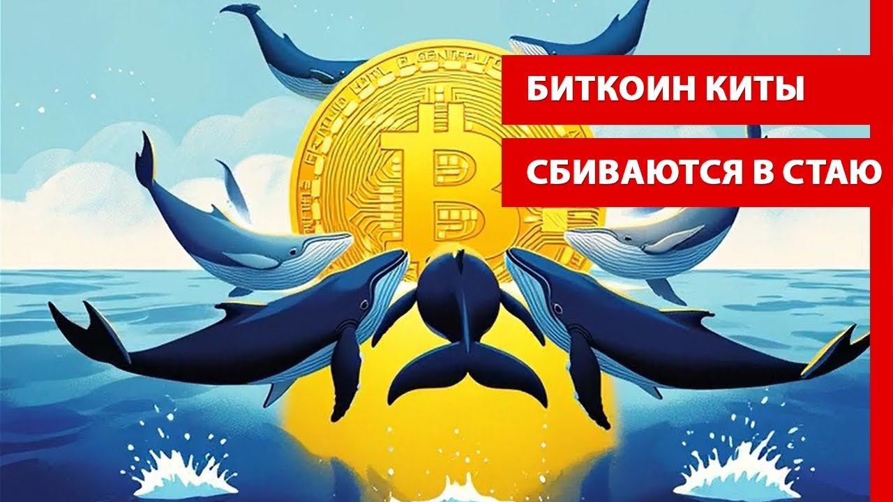 Биткоин-киты сбиваются в стаю на фоне притока ETF