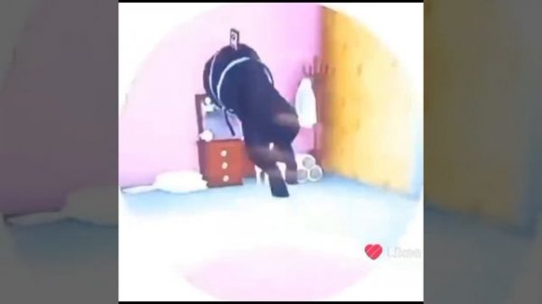 Вот и вторая подборка!🪻