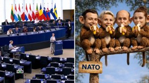 «Вечеринка 27 шимпанзе»: немецкий политолог высмеял воинственность Евросоюза | «Итоги недели»