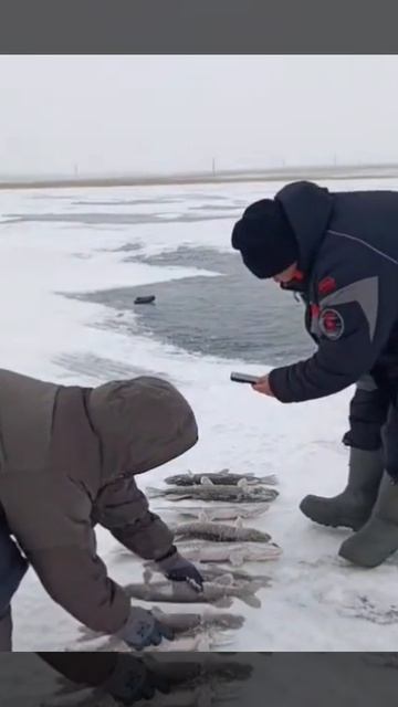 Во-о-от сколько рыбы наловили! Помните, рыбаки никогда не врут!!. смотреть онлайн