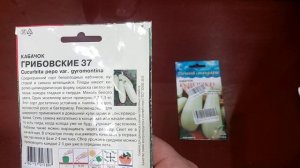 Какие семена я купила на 2026 год | Какие ещё не сеяла |