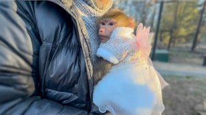 Друзья, у Люси 500 000 подписчиков! Прдарим Люсе МИЛЛИОН друзей!