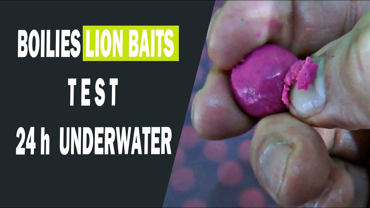 Бойлы LION BAITS 24 часа в воде (тест) смотреть онлайн