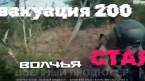 песня Волчья стая от Baba Yaga