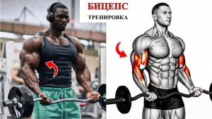 8 ЛУЧШИХ Упражнений Для Более Четкой Внутренней Формы Бицепса 🔥