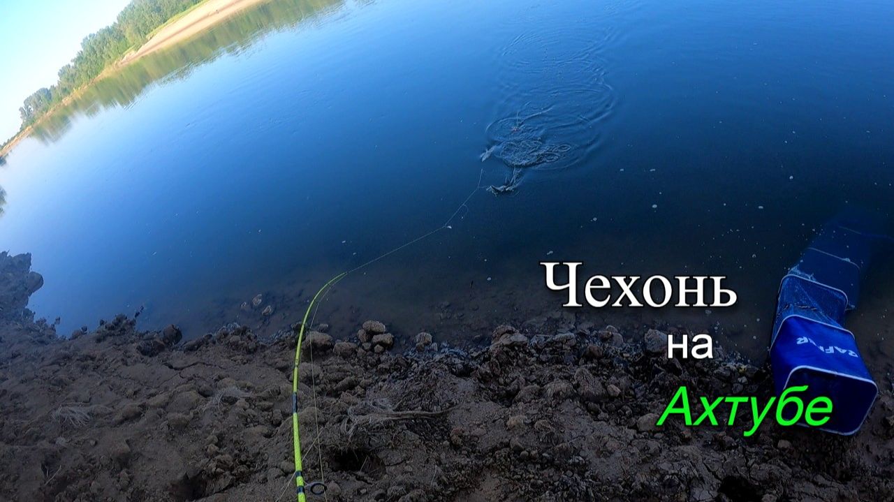 Ловля чехони в июле на реке Ахтуба смотреть онлайн
