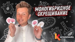 Как Решать Задачи на Моногибридное Скрещивание — Биология 10 класс // Подготовка к ЕГЭ по Биологии