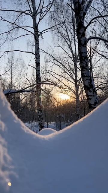 Лучистый лес смотреть онлайн