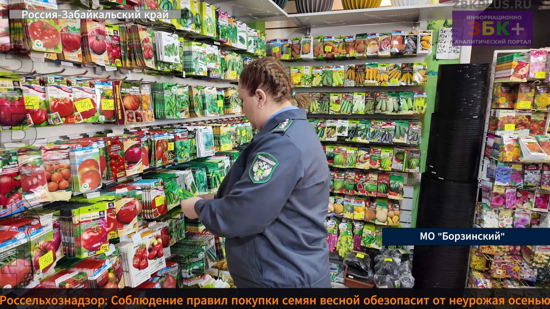 ЗБК + Соблюдение правил покупки семян весной обезопасит от неурожая осенью смотреть онлайн