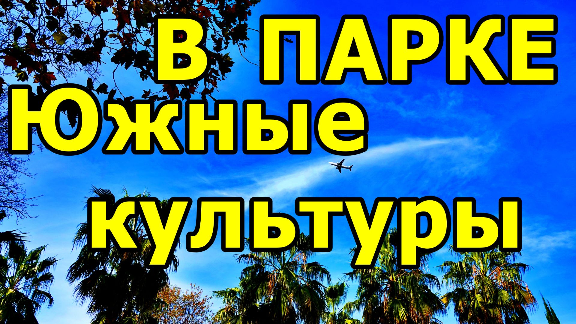 ПАРК «ЮЖНЫЕ КУЛЬТУРЫ» 2025: РОЗЫ, ПАЛЬМЫ И САМОЛЕТЫ НАД ГОЛОВОЙ. 23 НОЯБРЯ 2025 ГОДА. смотреть онлайн