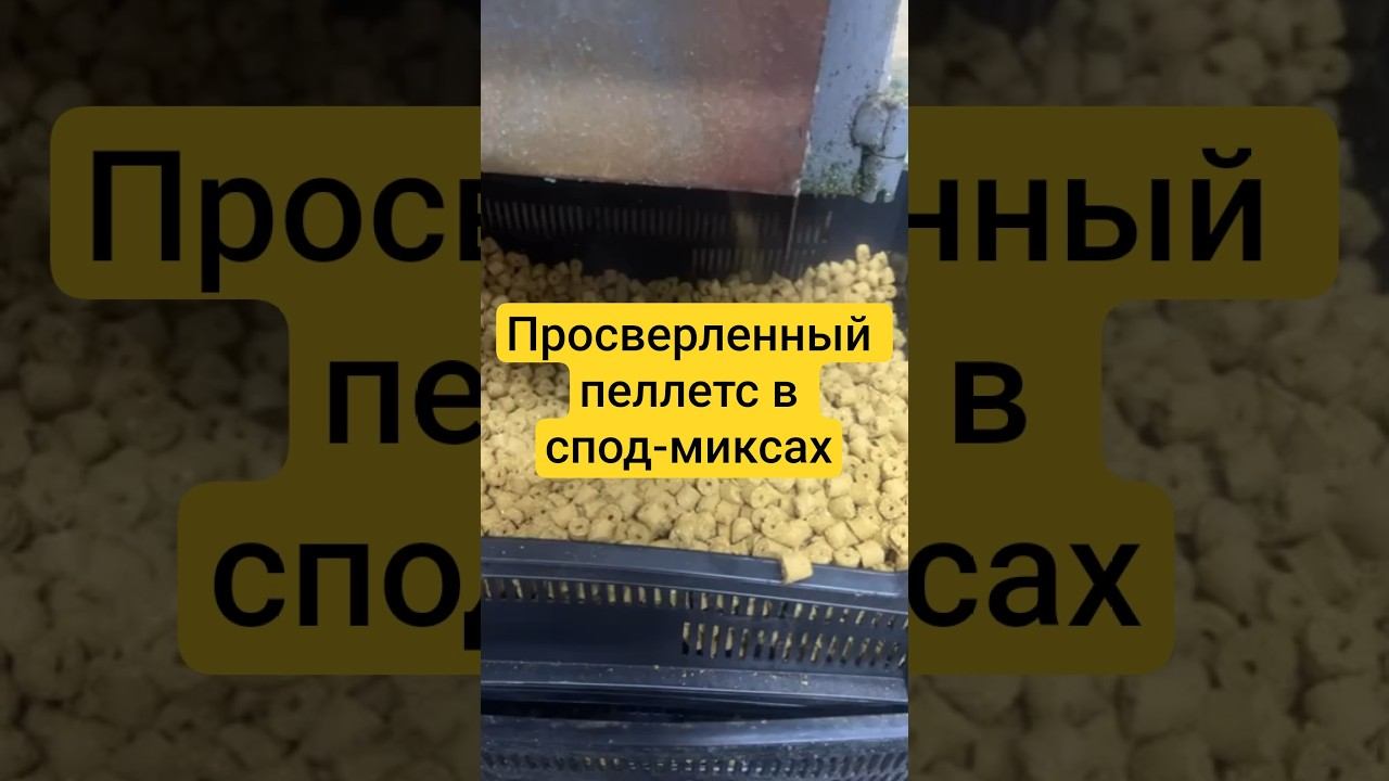 Просверленный пеллетс в спод-миксах Lion baits. смотреть онлайн