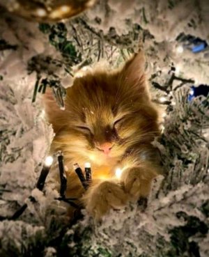 всех с 1 февраля!!!!!!