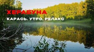 Поклёвка за поклёвкой. И никуда не спешить.