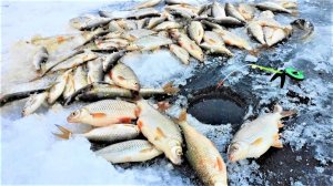 ВОТ это КЛЁВ не даёт опустить!!!! Зимняя рыбалка на мормышку и кивок