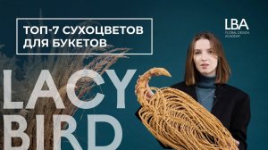 ТОП 7 СУХОЦВЕТОВ ДЛЯ БУКЕТОВ