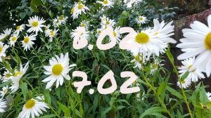 Лунный Посевной календарь Садовода-Огородника с2.02-8.02.26г.