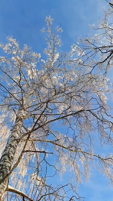 нечастое солнечное...