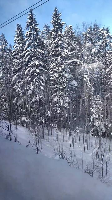 Подмосковье из окна электрички