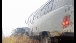 Загонная охота на косулю 11.2024