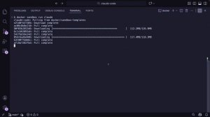 Claude Code-9. Запуск кода Claude с помощью изолированных сред Docker.