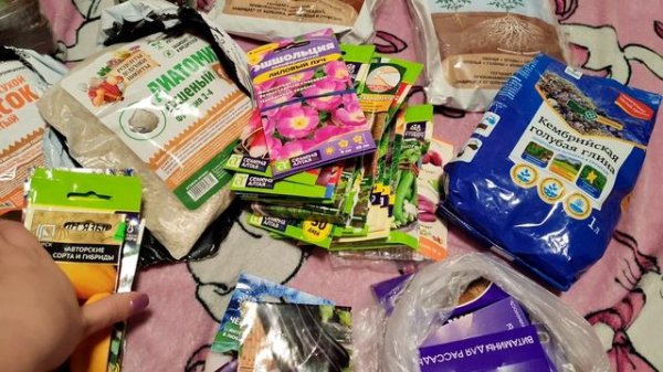 Семена на 2026 год / Домашний влог