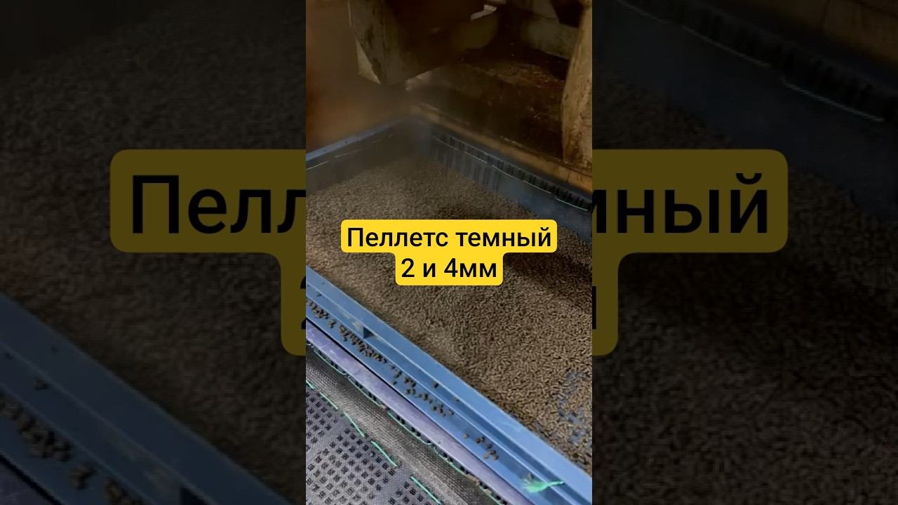 Сегодня делали пеллетс небольшого размера. смотреть онлайн