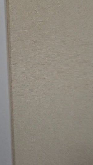 г. Пермь, ул. Н. Быстрых, 3, к. 518.mp4