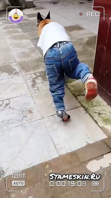 Что Лучше???🤔 смотреть онлайн