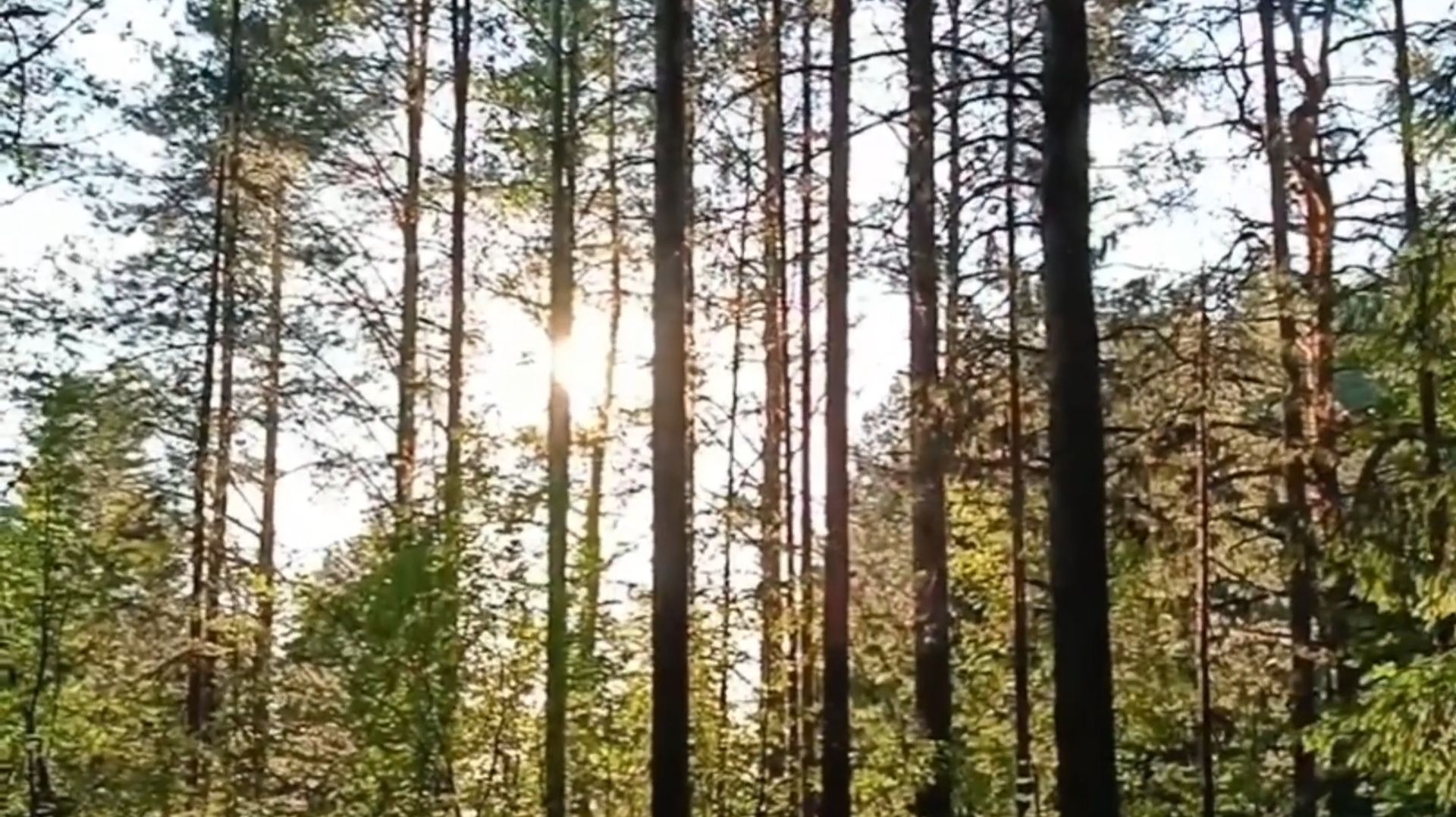 РОДНАЯ НАША ВЯТСКАЯ ЗЕМЛЯ