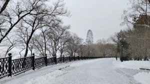 548. Хабаровск. Речной вокзал - Окружной универмаг. 01.02.26.