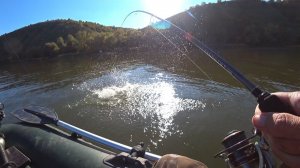 Лупят аж УДОЧКА ХРУСТИТ!!!! Рыбалка осенью - судак, карась, лещ