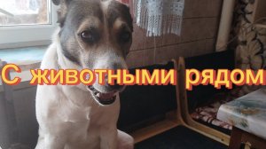 С животными рядом.31.01.26.