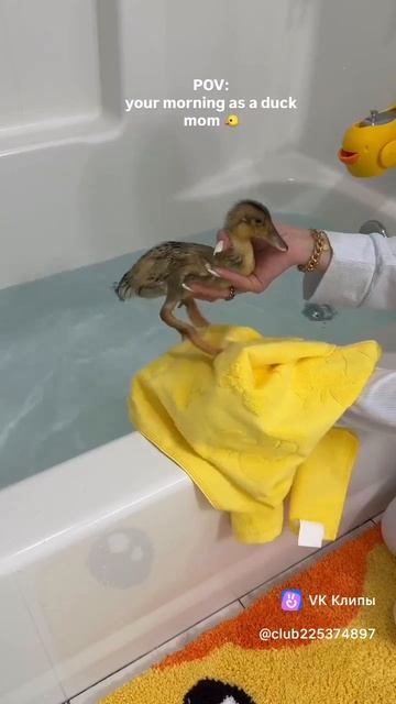 Видео от Сергея Хапинина