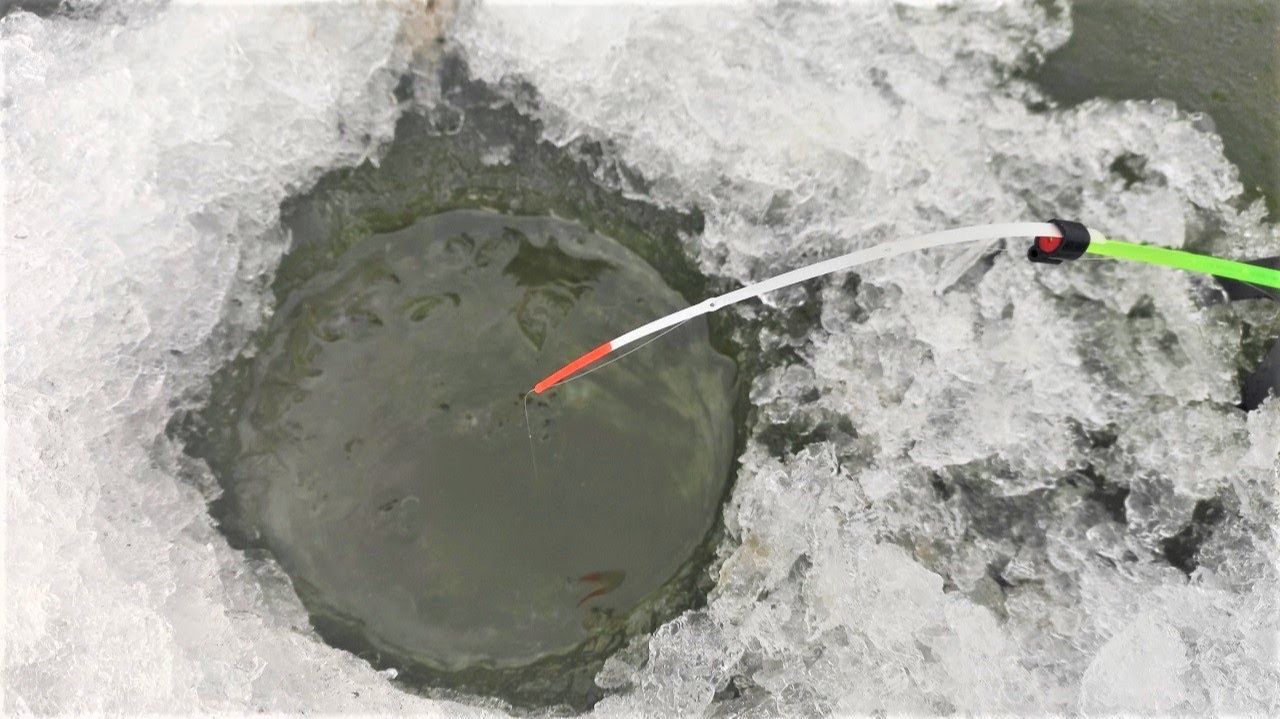 КРУПНЫЙ КАРАСЬ берёт!!!! ЕЛЕ УСПЕВАЮ на две удочки - зимняя рыбалка смотреть онлайн