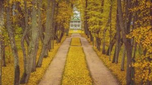 А. Пушкин. "Брожу ли я средь улиц шумных..."