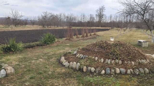 Завтра февраль.