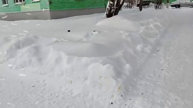 Планы по похудению сходил на рынок за лёгким, а еще рассказал что будет завтра на обед и на ужин смотреть онлайн