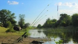 Удочка затрещала, КОГДА ОН ВЗЯЛ!!!! Рыбалка на сазана, карася с ночёвкой