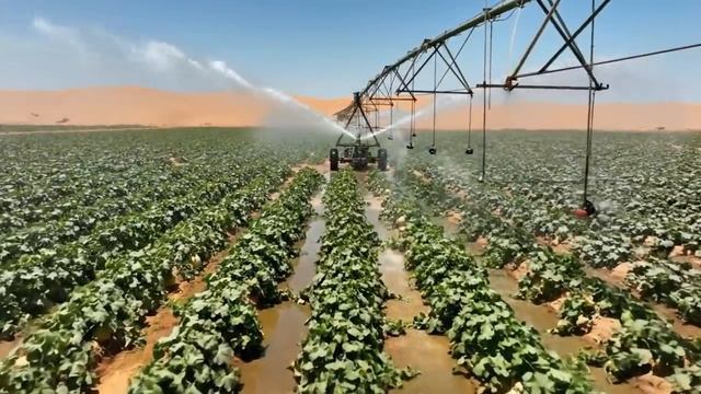 pustinada yetishtirish usuli смотреть онлайн