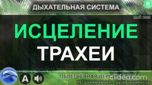 Глубокое Восстановление Трахеи  Чистые Дыхательные Пути и Здоровое Горло
