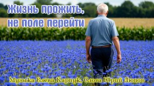 Новинка! Душевный Шансон! ЖИЗНЬ ПРОЖИТЬ - НЕ ПОЛЕ ПЕРЕЙТИ