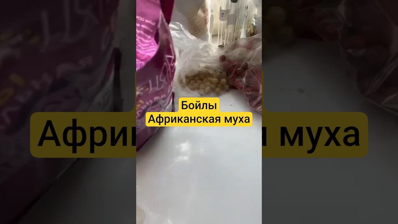 Бойлы - Африканская муха. смотреть онлайн