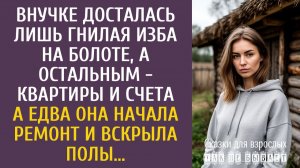 Истории из жизни: Внучке досталась лишь гнилая изба на болоте, остальным - квартиры и счета…
