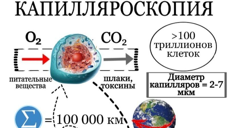 Прямой эфир 1 февраля 2026