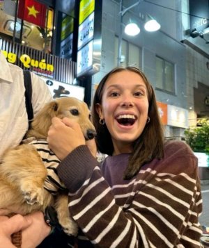 делаю домик﹤3!( 2часть)