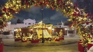 Сад Эрмитаж, Москва, январь 2026 (Hermitage Gardens, Moscow, Russia, January 2026)