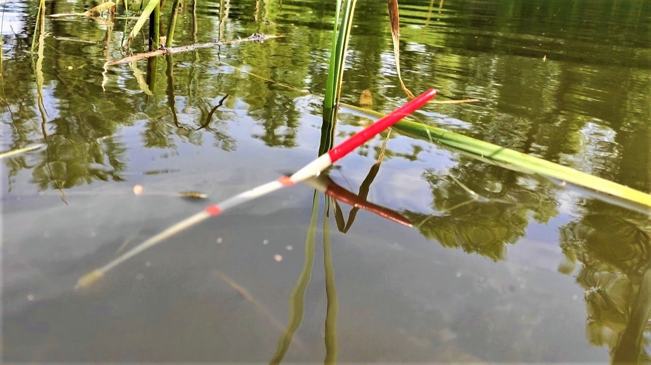 ПЕРЬЕВОЙ ПОПЛАВОК из пера гуся для рыбалки смотреть онлайн
